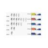 tuhy do mikrotuzky staedtler 03 hb mars micro carbon 250