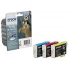 inkoustova cartridge epson t1306 multipack cmy