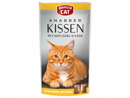 4581 perfecto cat plnene polstarky se syrem 50g