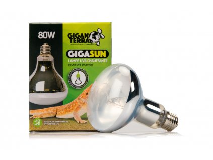 GiganTerra GIGASUN výbojka 80W (5)