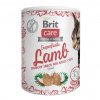 11304 brit care cat snack superfruits lamb 100g