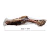 12849 magnum iberian bone xl