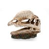 GiganTerra Lebka Dilophosaurus (6)