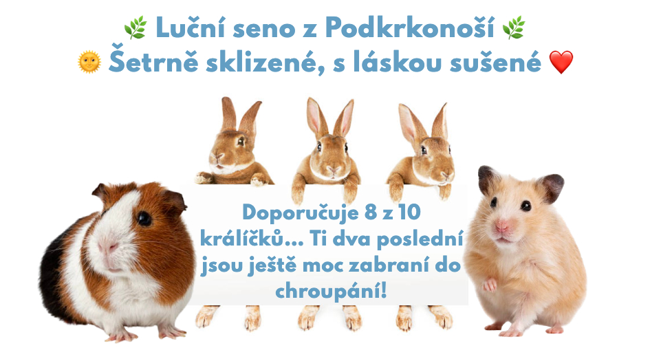 Luční seno z podkrkonoší