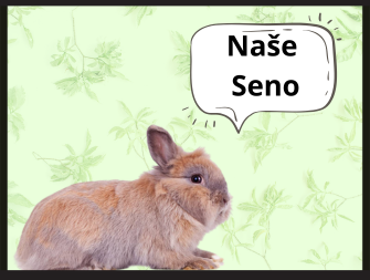 Seno