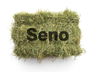 Seno