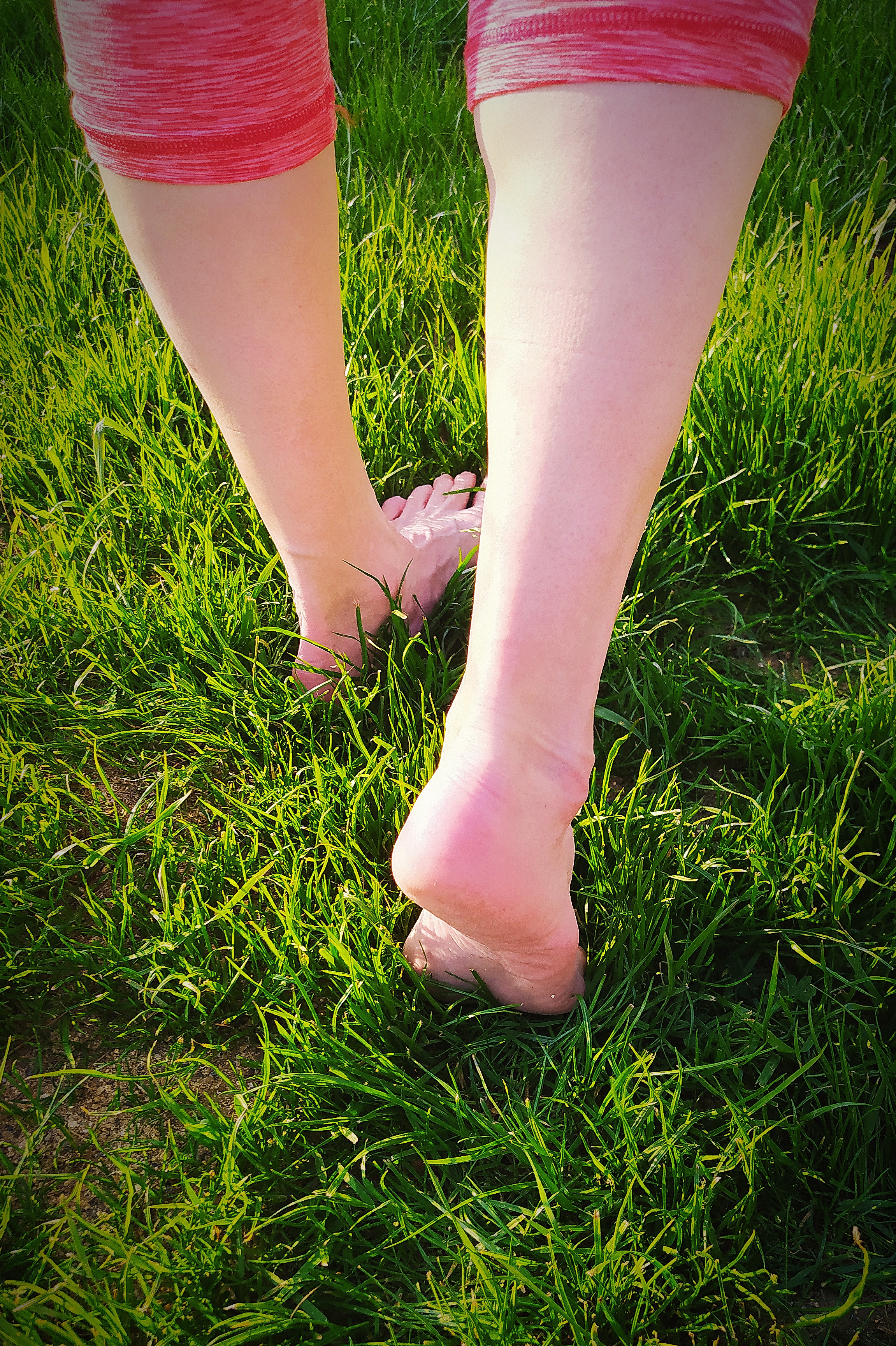 Patní ostruha - calcar calcanei