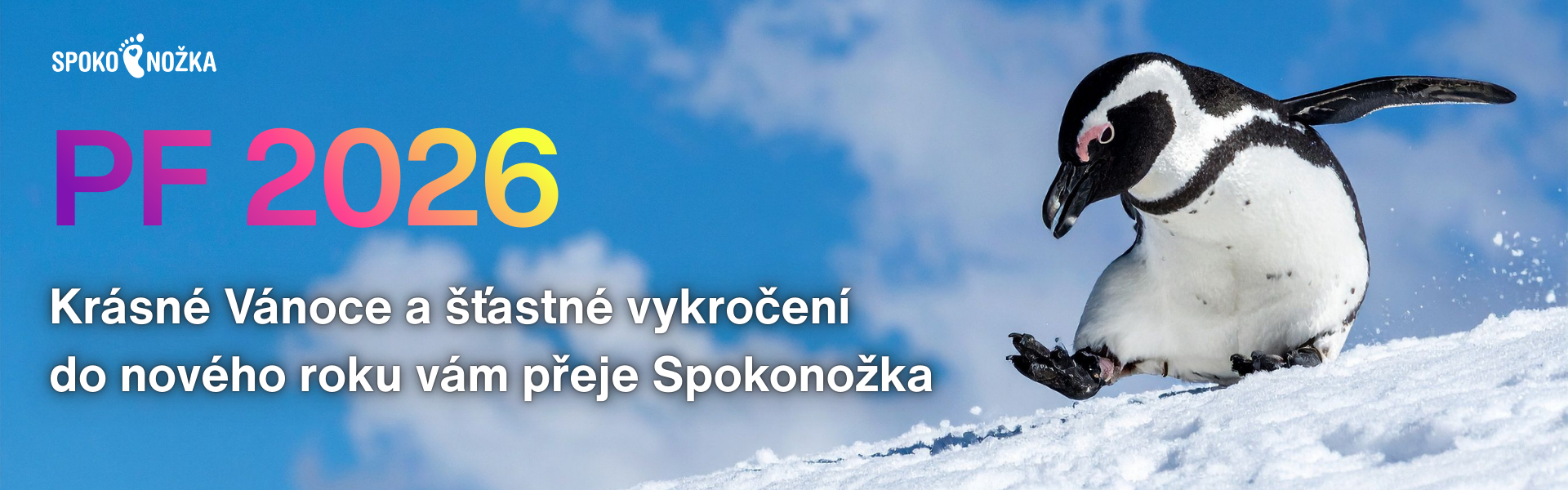 Krásné Vánoční svátky a vše nejlepší v novém roce!