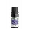 Nobilis Tilia - Bio Eukalyptus radiata 10 ml
