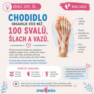 💡 VĚDĚLI JSTE, ŽE… Chodidlo obsahuje více než 100 svalů, šlach a vazů? 👣 Přitom právě chodidla jsou základem každého...