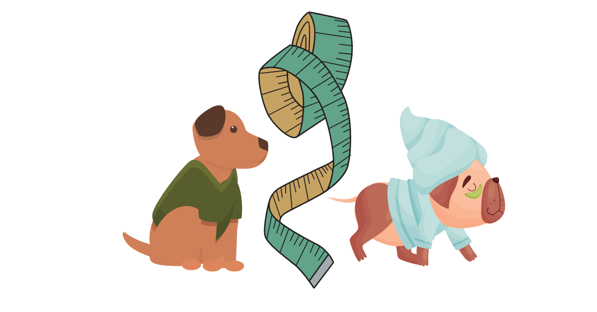 Jak změřit tvého pejska, aby mu mikina nebo pyžámko padly jako ulité?