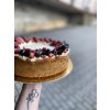 LOWCARB Cheesecake NEW YORK