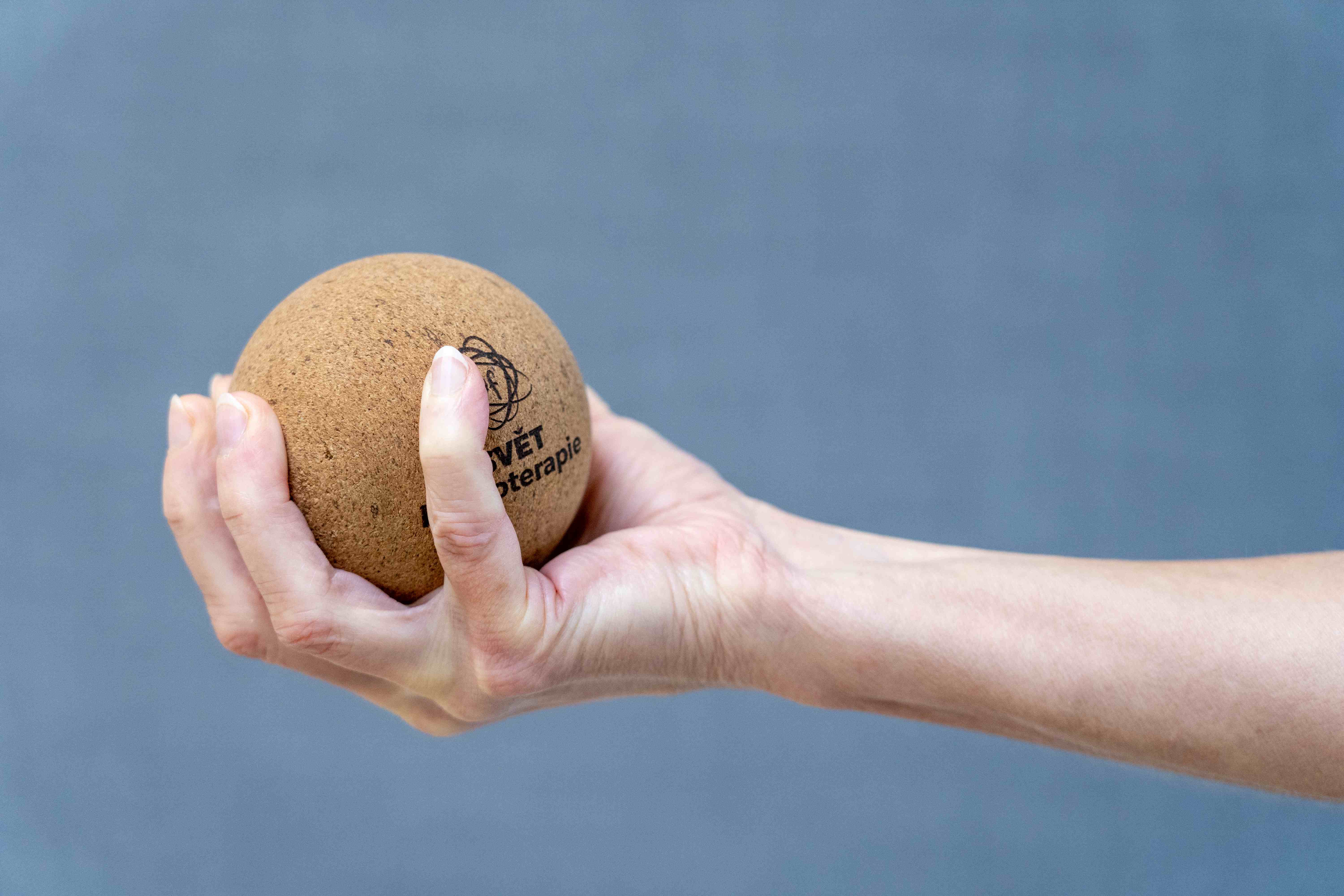 Do domácnosti