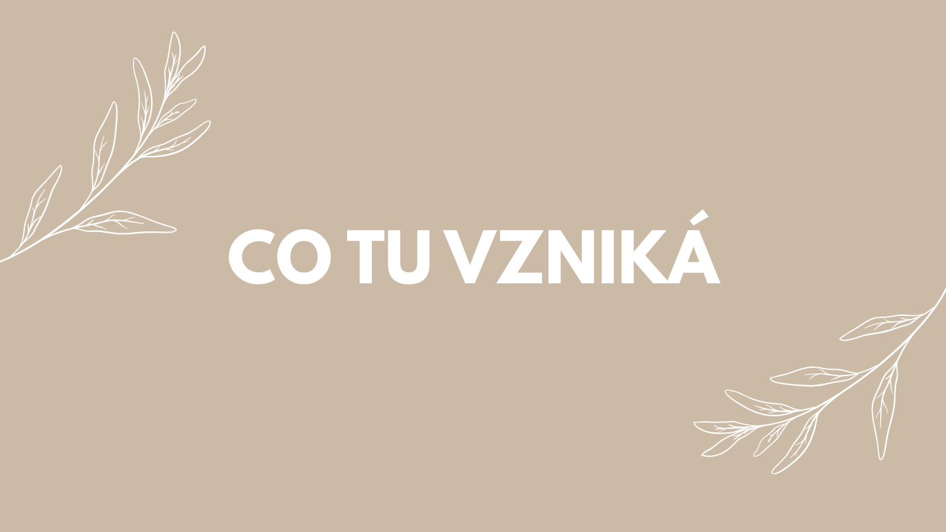 Co je spolubytí