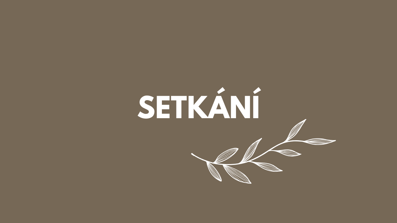 Setkání