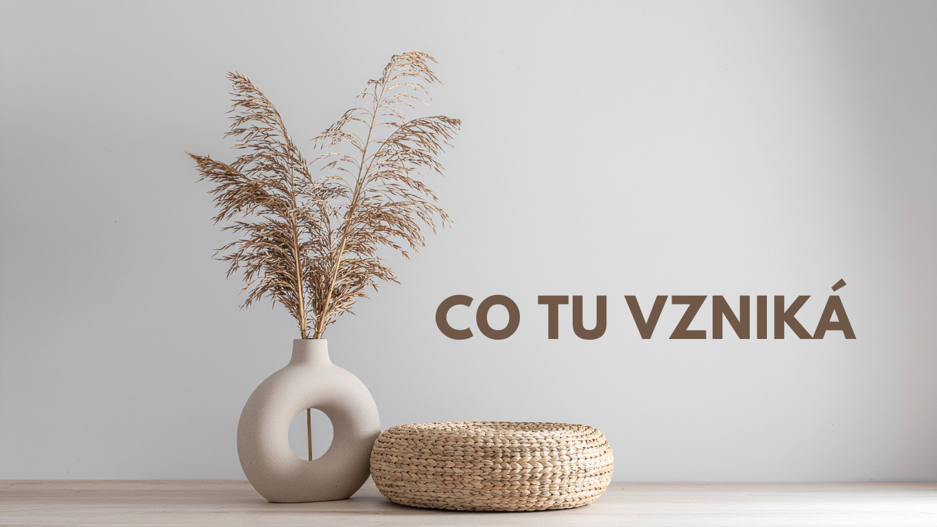 Co je spolubytí