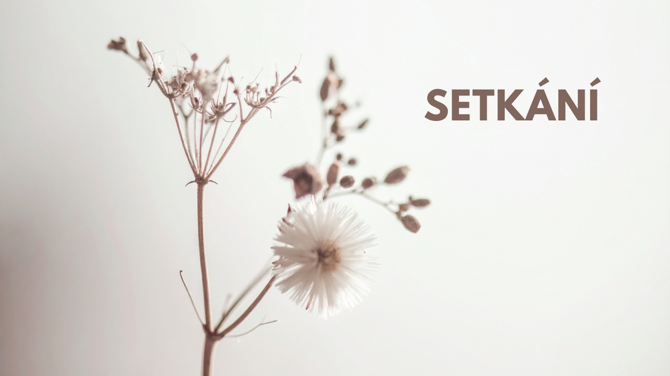 Setkání