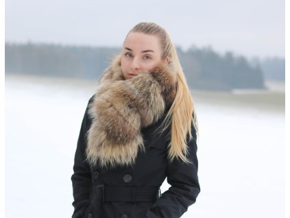 kozesinova sala spongr10