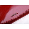 Velká dámská kožená peněženka Carmelo 2109H Red