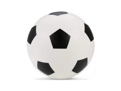 fotbalovy mic 16cm vinyl