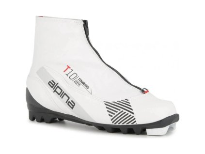 31122 alpina t 10 eve white