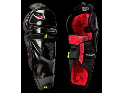 SG 3X  INT/SR Bauer Holene 22