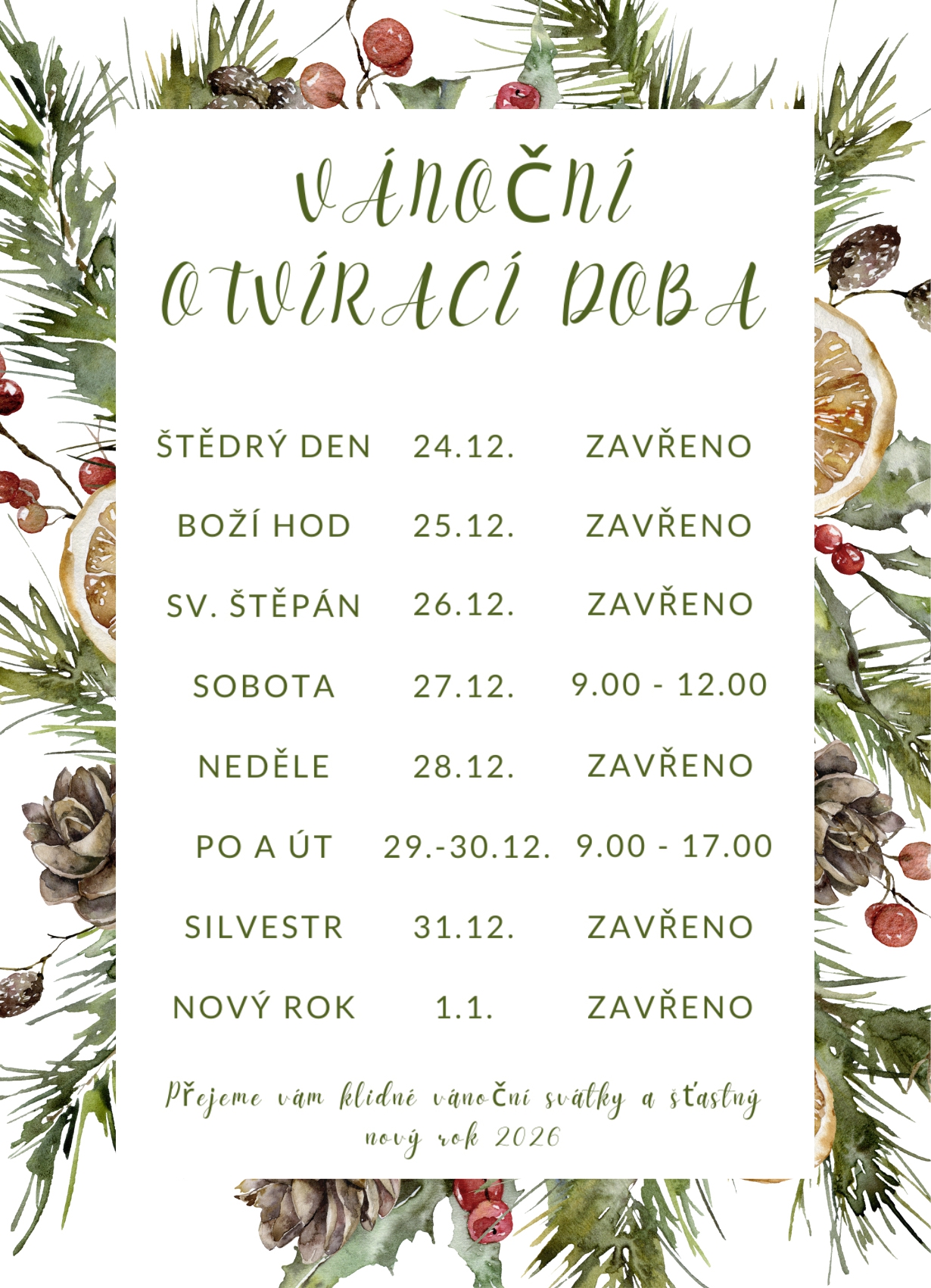 Jednodenní lyžování