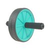 Posilovací kolečko LIFEFIT® EXERCISE WHEEL DUO, mint