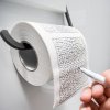 eng pl Maze toilet paper 1143 1
