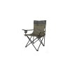Coleman Standard Quad Chair Green