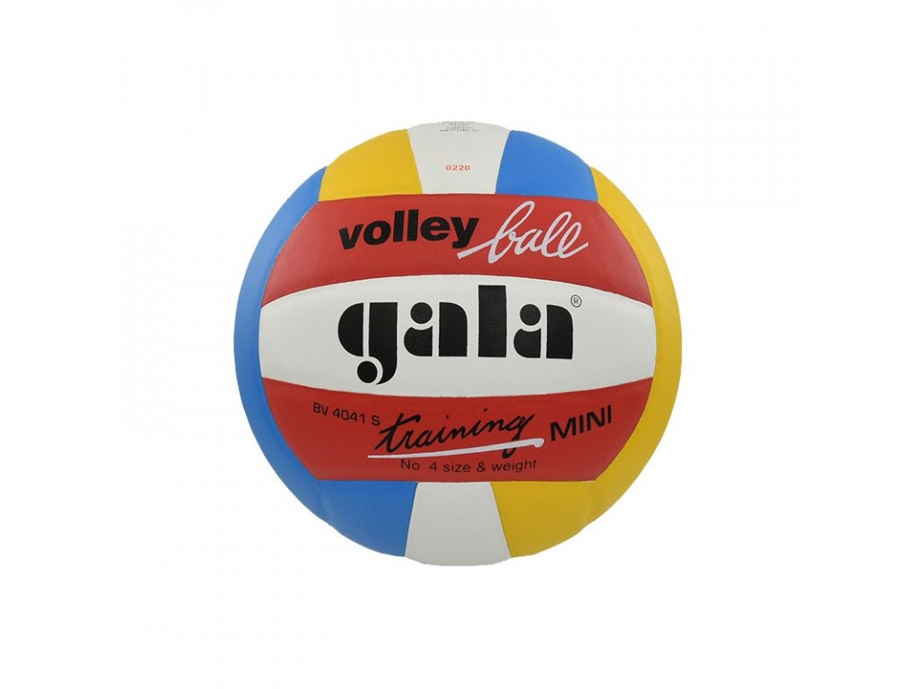 Míč volejbal TRAINING MINI COLOR BV4041S