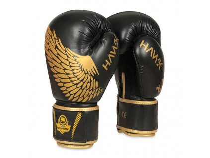 Boxerské rukavice DBX BUSHIDO B-2v17 (Velikost 8oz.)