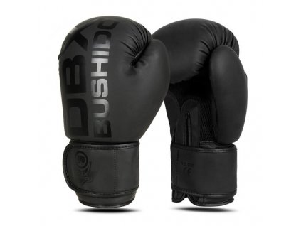 Boxerské rukavice DBX BUSHIDO B-2v21 (Velikost 10oz.)