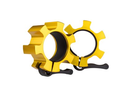 ZG1500 GOLDEN MAXI 01