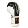 Boxerské rukavice DBX BUSHIDO B-2v16 (Velikost 8oz.)