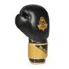 Boxerské rukavice DBX BUSHIDO B-2v10 (Velikost 8oz.)