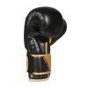 Boxerské rukavice DBX BUSHIDO B-2v10 (Velikost 8oz.)