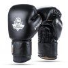 Boxerské rukavice DBX BUSHIDO Striker (Velikost 10oz.)