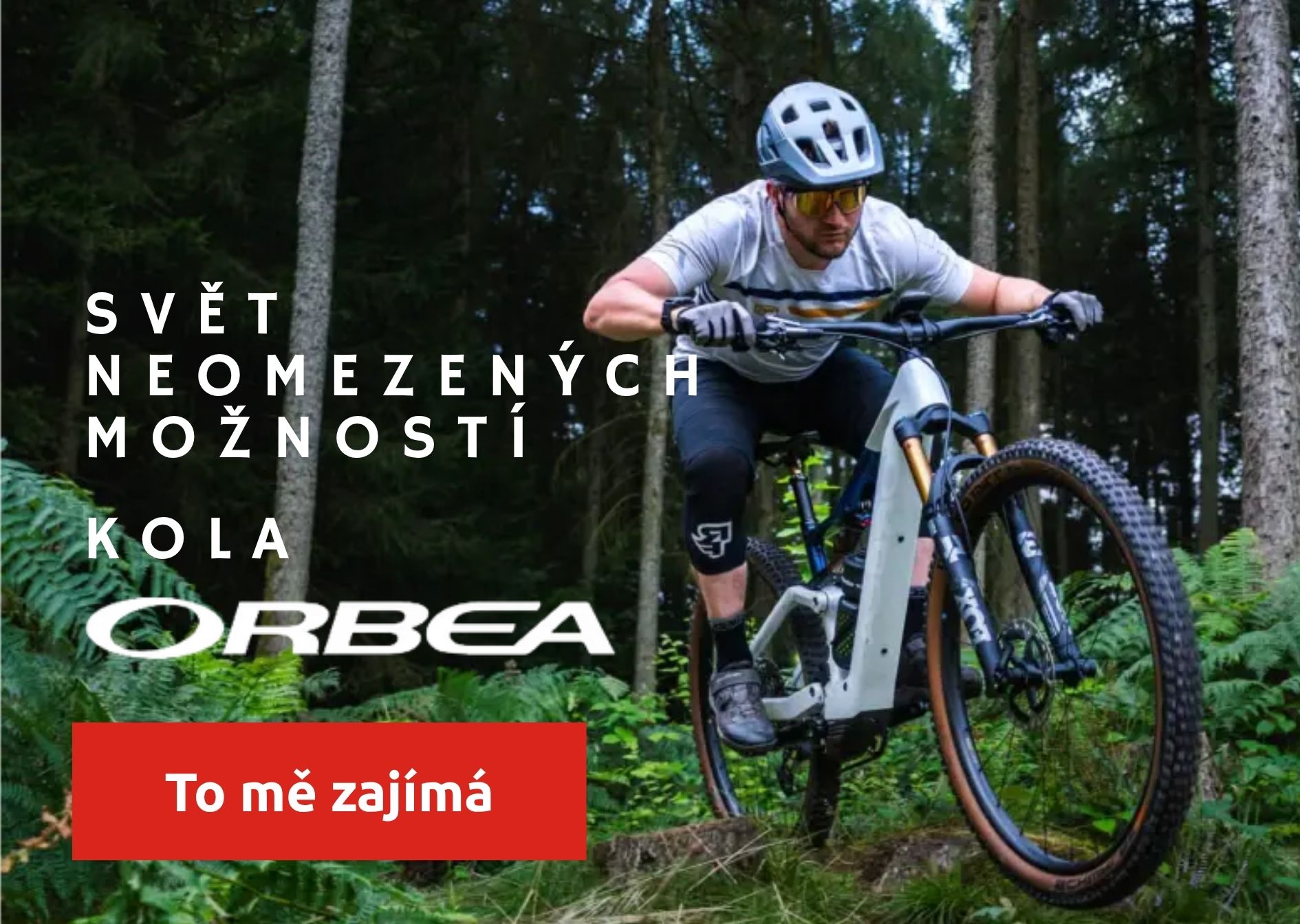 Kola orbea