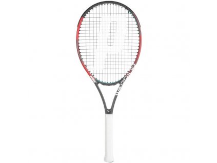 prince warrior 100 285g