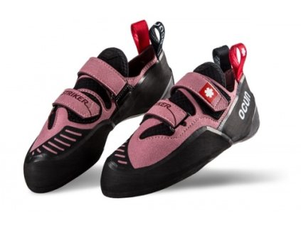 script.B2BObrazekVeliky (1)