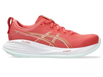 Screenshot 2025 09 16 at 11 45 51 B2B ASICS Product Details
