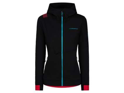 03012064 blackhibiscus