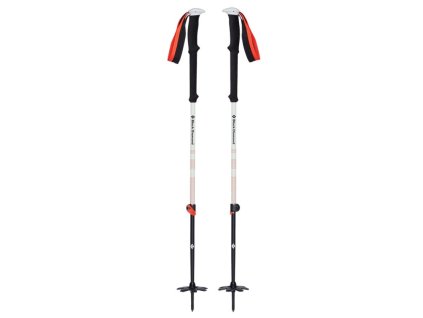 Black Diamond hole skialpové EXPEDITION 2 SKI POLES 145 cm (Velikost 145 cm)