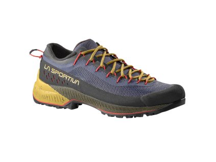 04617338 nightskysavana