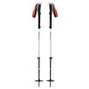 Black Diamond hole skialpové EXPEDITION 2 SKI POLES 145 cm (Velikost 145 cm)