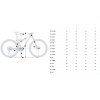 orbea oiz h10