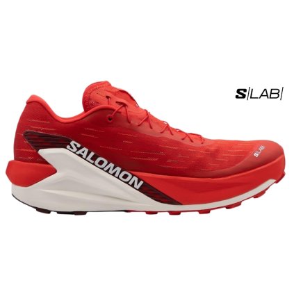Salomon S/Lab Pulsar 4