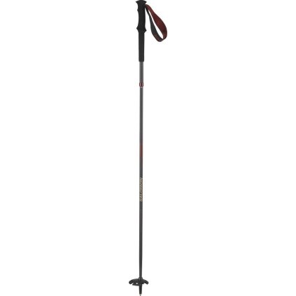 Salomon Quest Carbon Foldable Poles