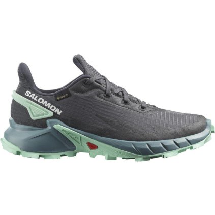 Salomon Alphacross 4 GTX W
